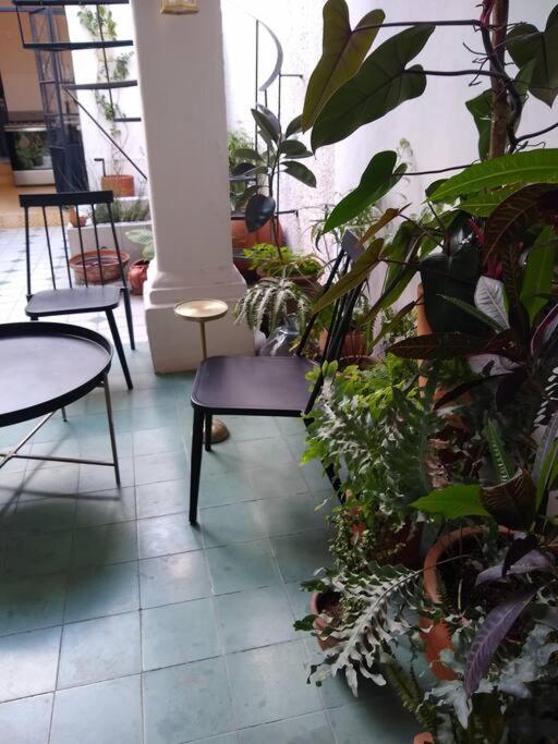 Casa Cuauhtemoc Guadalajara Exterior foto