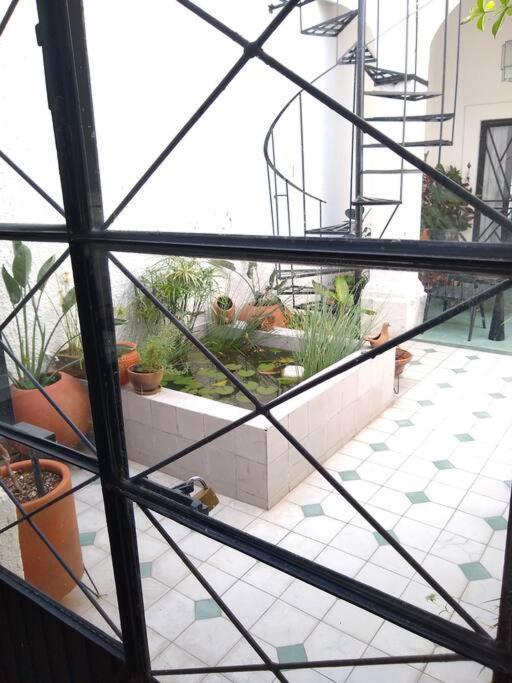 Casa Cuauhtemoc Guadalajara Exterior foto