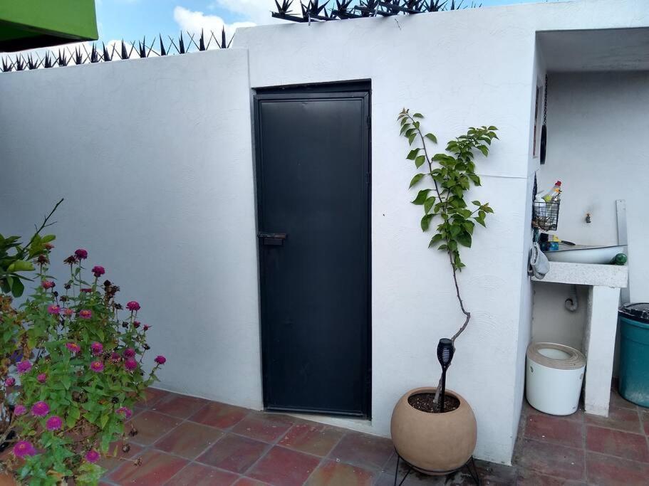 Casa Cuauhtemoc Guadalajara Exterior foto