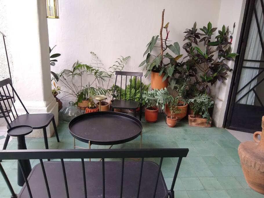 Casa Cuauhtemoc Guadalajara Exterior foto
